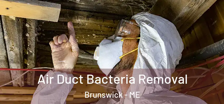  Air Duct Bacteria Removal Brunswick - ME