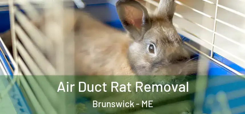  Air Duct Rat Removal Brunswick - ME