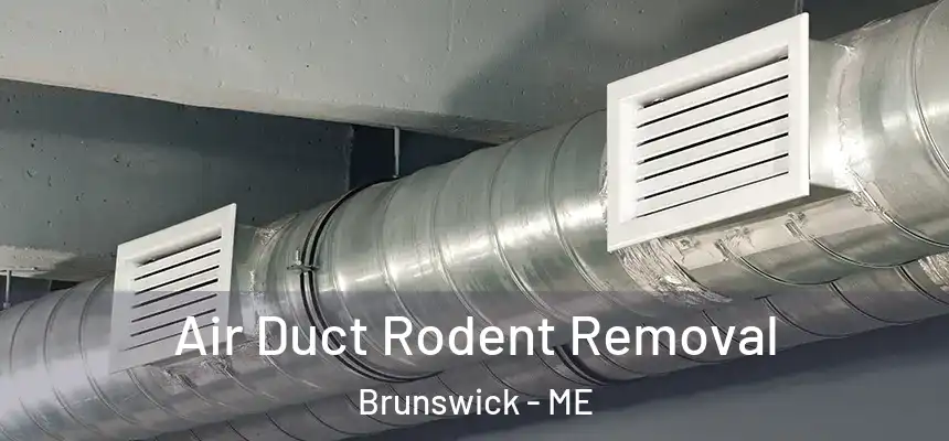  Air Duct Rodent Removal Brunswick - ME