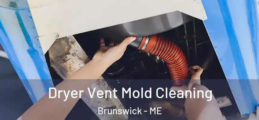  Dryer Vent Mold Cleaning Brunswick - ME