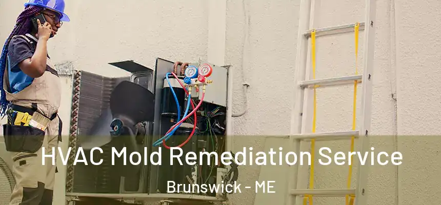  HVAC Mold Remediation Service Brunswick - ME
