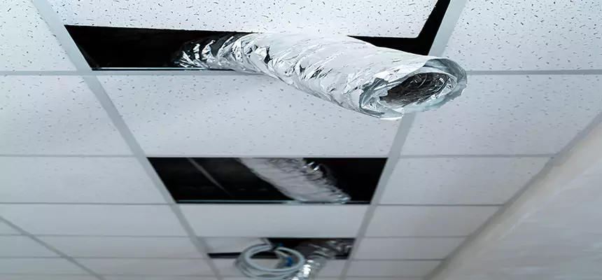 Our Air Duct Pet Hair Removal Services in Brunswick, ME