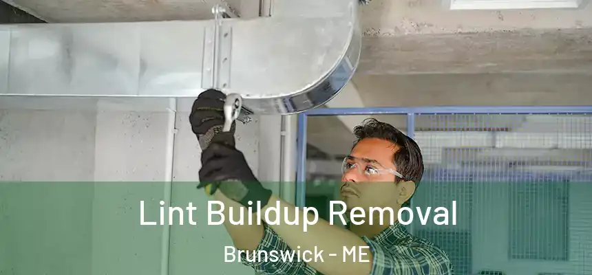  Lint Buildup Removal Brunswick - ME