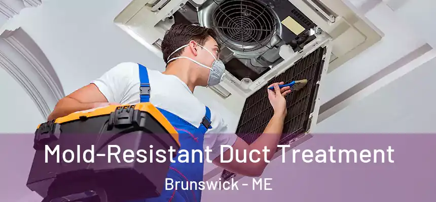  Mold-Resistant Duct Treatment Brunswick - ME