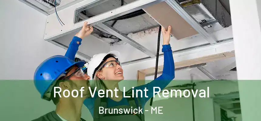  Roof Vent Lint Removal Brunswick - ME