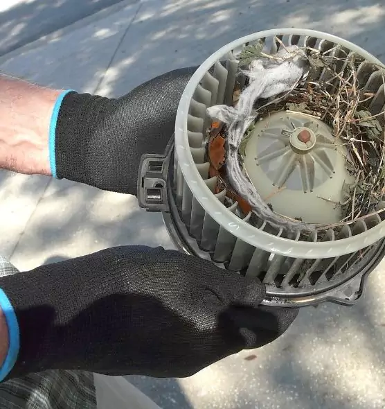 About Air Duct Rat Removal in Brunswick, ME