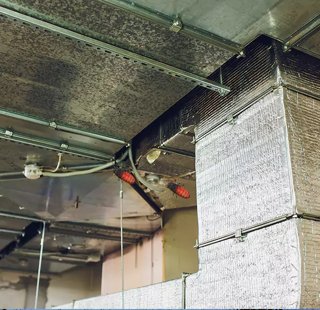 Why Homeowners & Businesses Trust Us in Brunswick, ME?