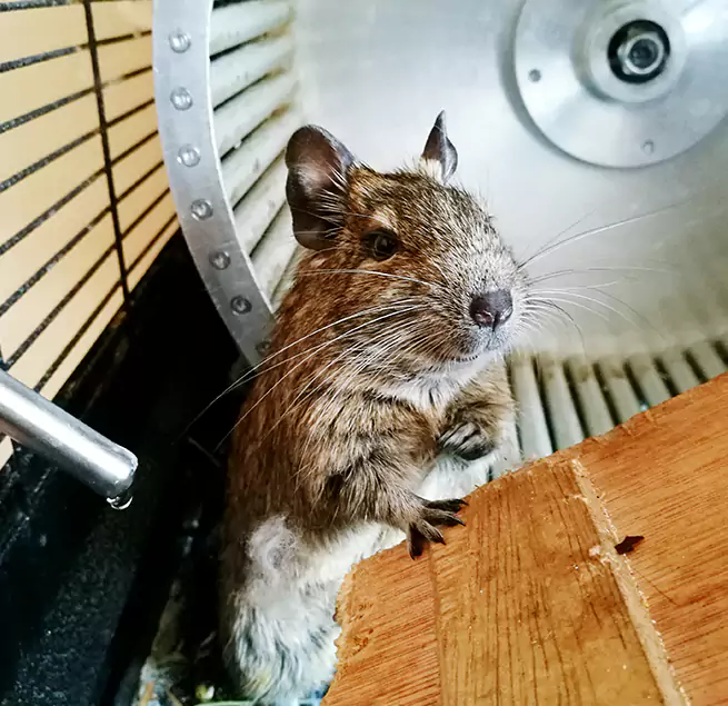 Why Homeowners & Businesses Trust Us Brunswick, ME?